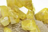 Striking Yellow Sulfur Crystals on Fluorescent Aragonite - Italy #209543-3